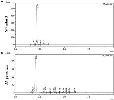 Mucuna pruriens Protects against MPTP Intoxicated Neuroinflammation in Parkinson’s Disease through NF-κB/pAKT Signaling Pathways